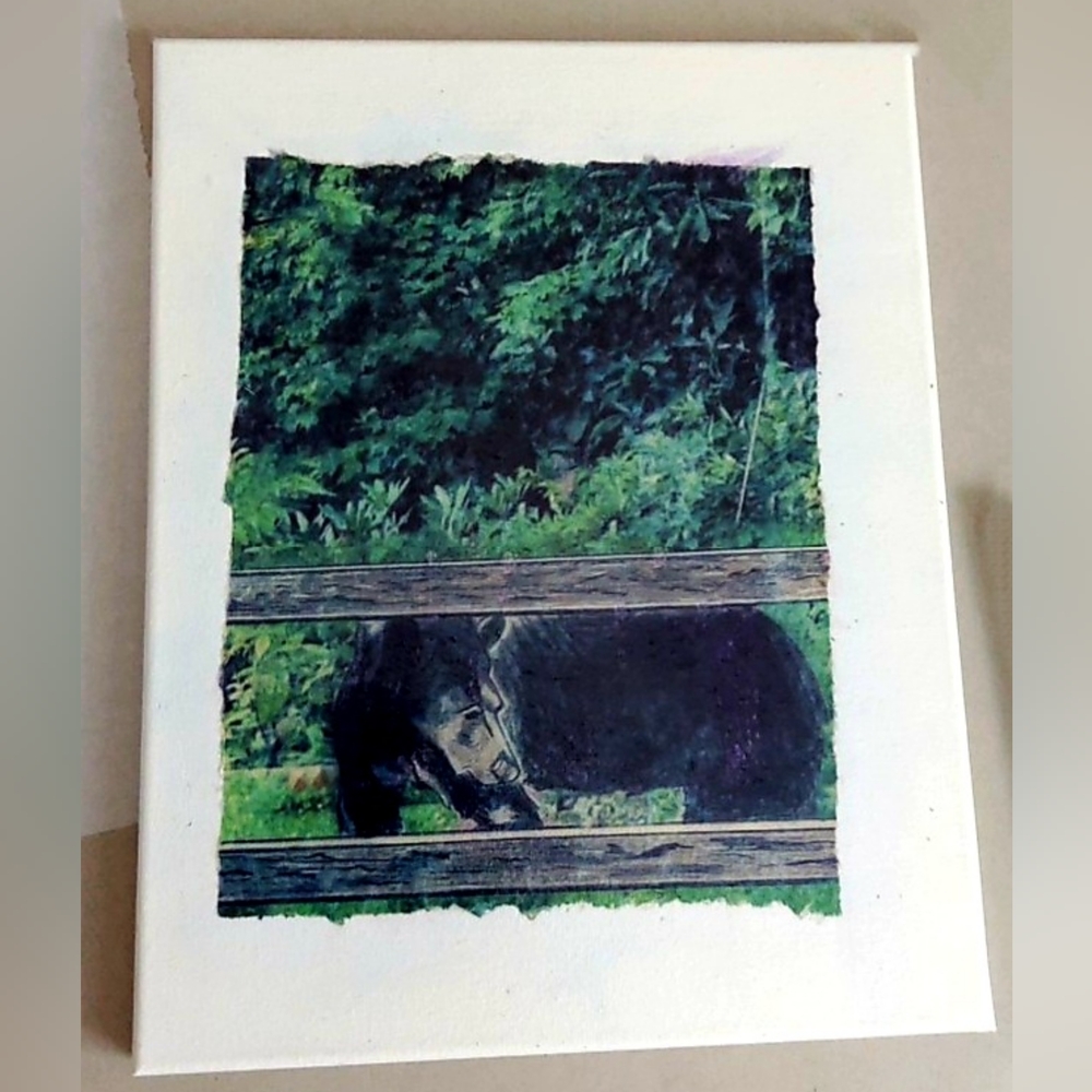Photo Transfer On Canvas Of "Maggie Bear Sketch" 11x14